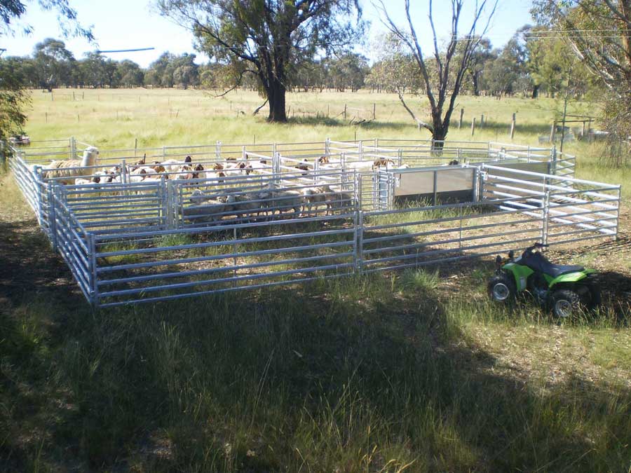 simons sheep yard