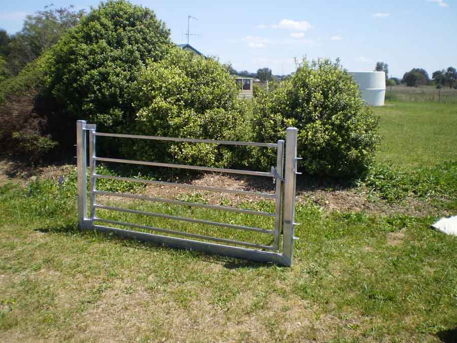 sheep gate in frame